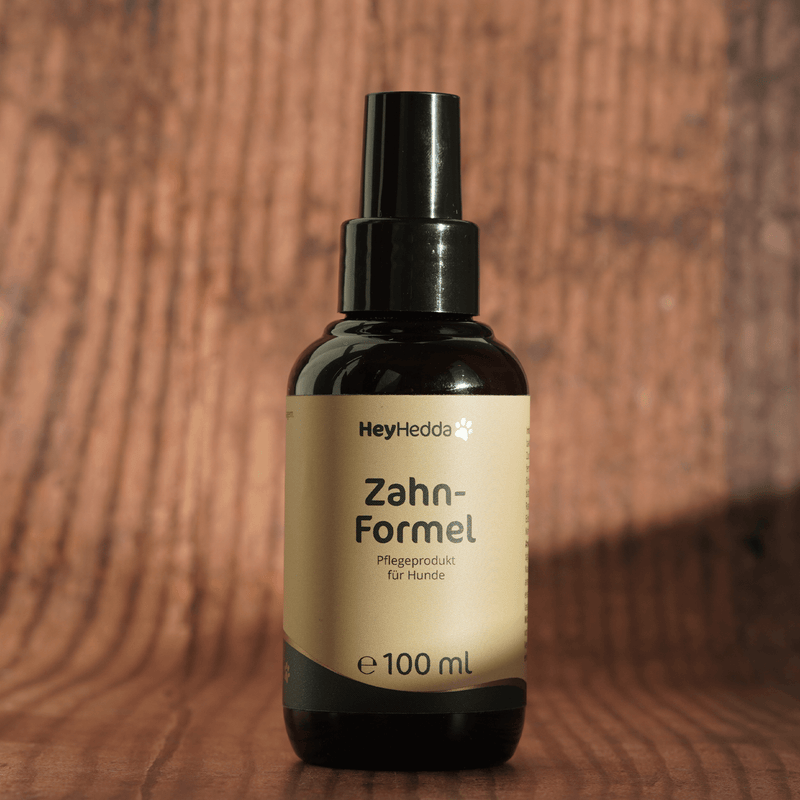 Zahn-Formel - Hey Hedda Produkt